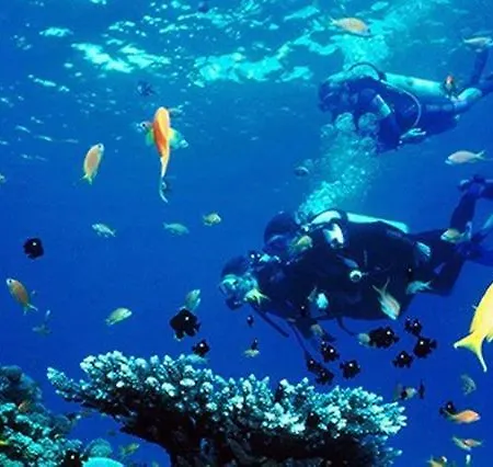 Charming Modern House With The New Swimming Pool - Maya 1